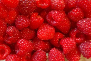 raspberries-227976_640